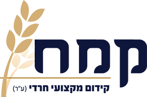 Logo 12