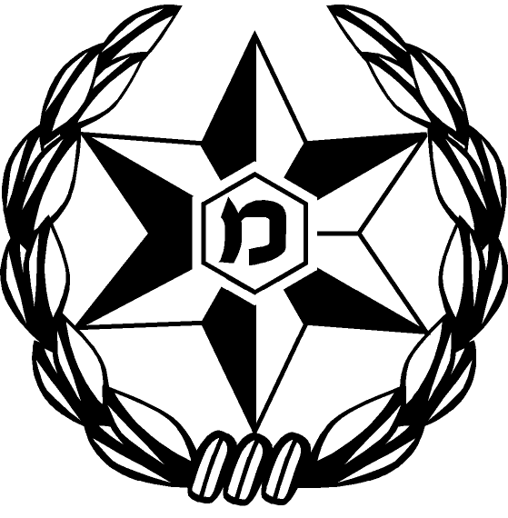 משטרת ישראל
